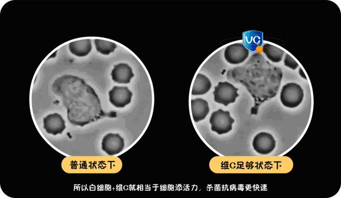 维生素C